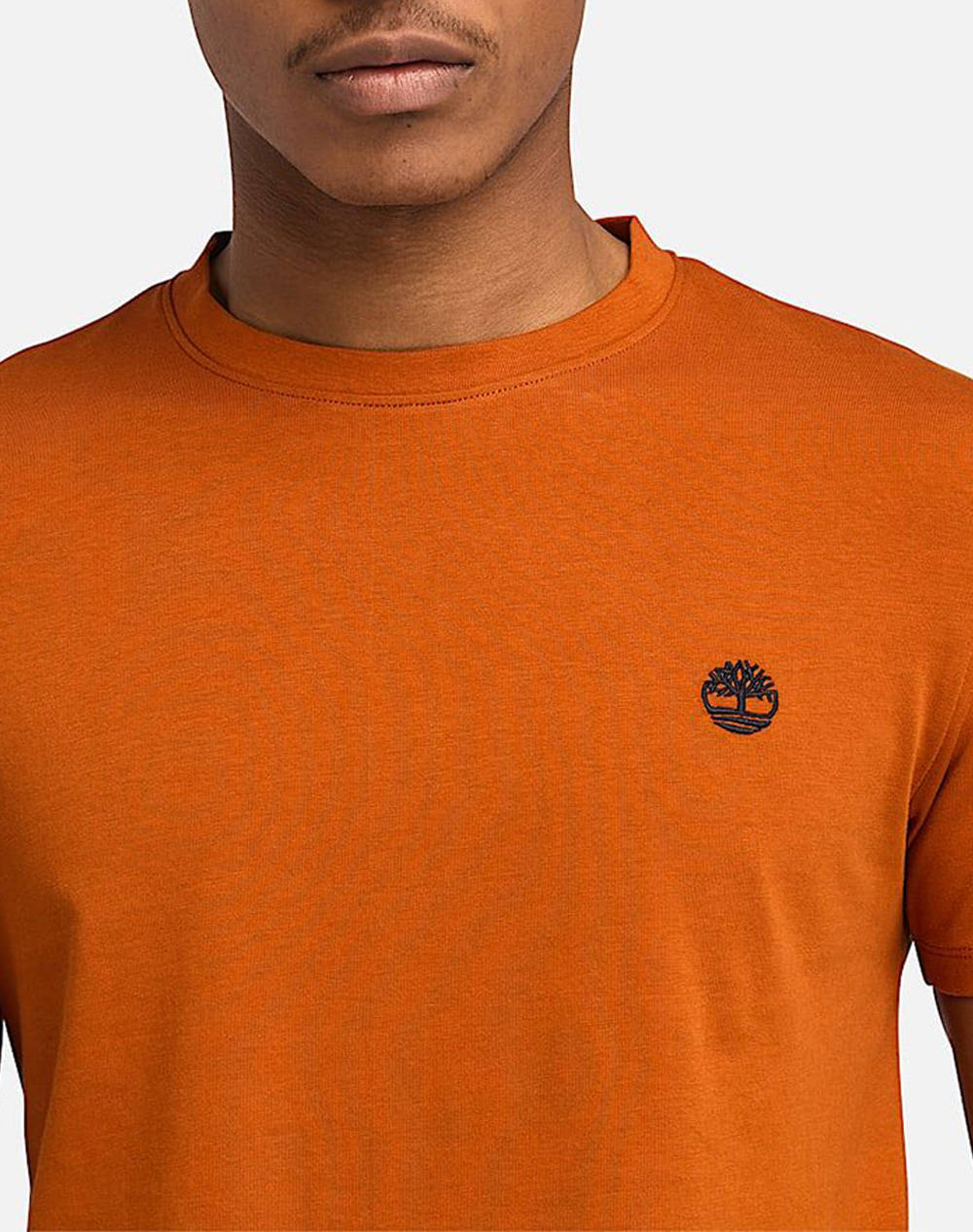 TIMBERLAND SUN RIVER CREW T SHIRT