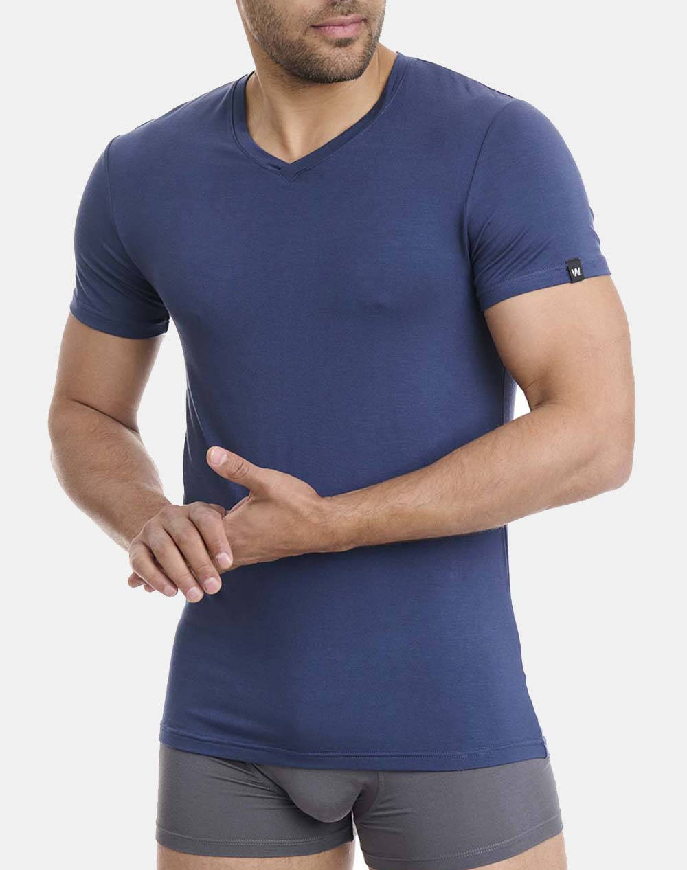 WALK PÁNSKÉ T-SHIRT V-NECK BAMBOO