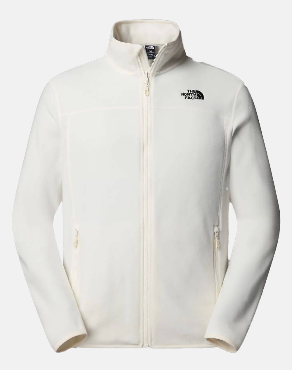 THE NORTH FACE M 100 GLAC FZ