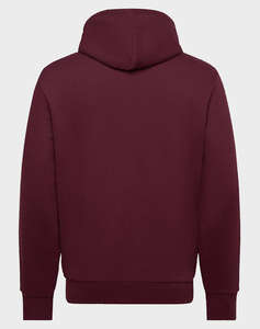 RALPH LAUREN HOOD SWEATSHIRT