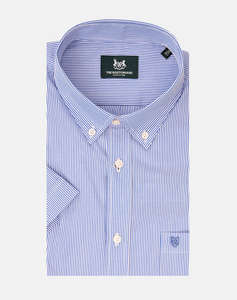 THE BOSTONIANS KOŠILE ACORN REGULAR FIT Stripe POPLIN Button-down Regular Fit