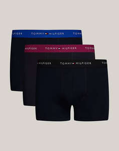 TOMMY HILFIGER 3P WB TRUNK